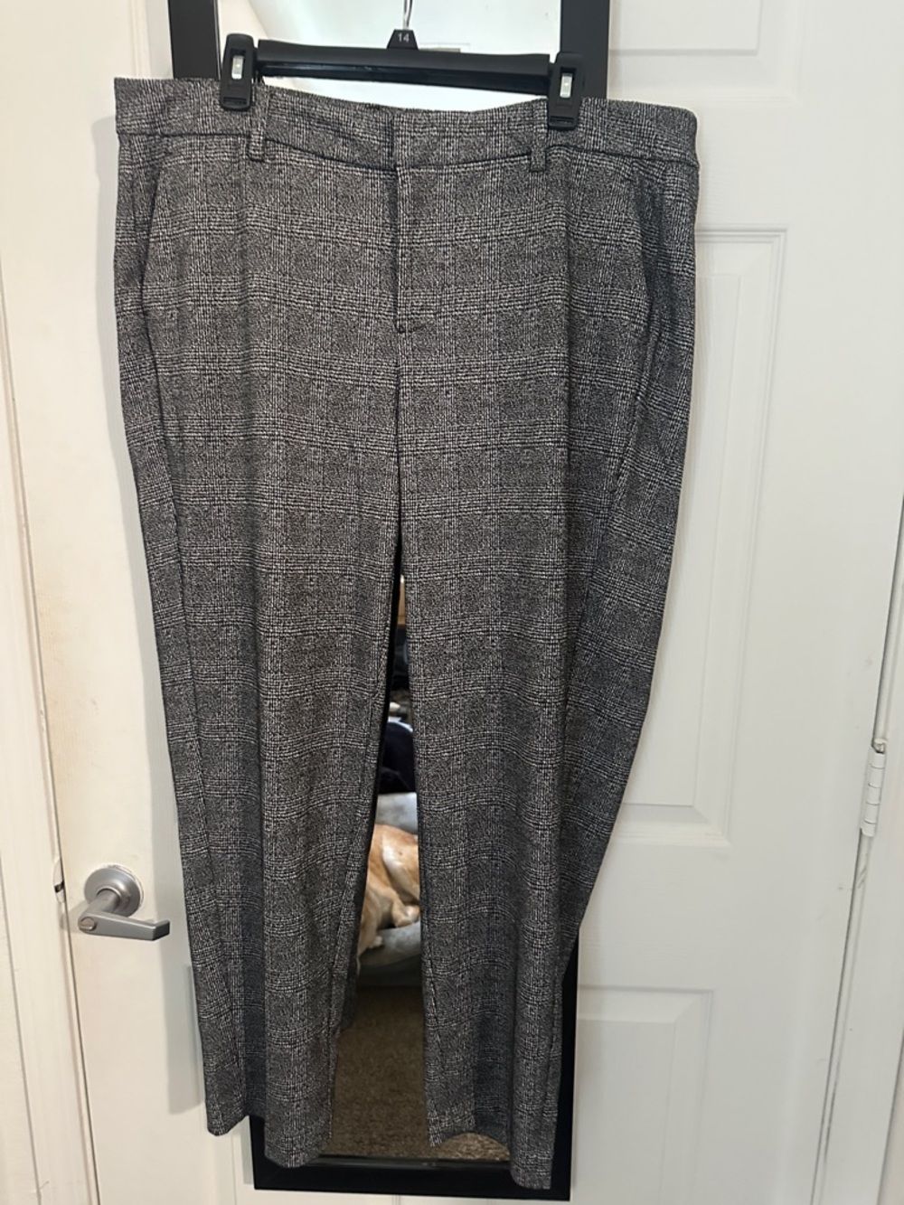 Liverpool Gray Plaid Women's Trousers